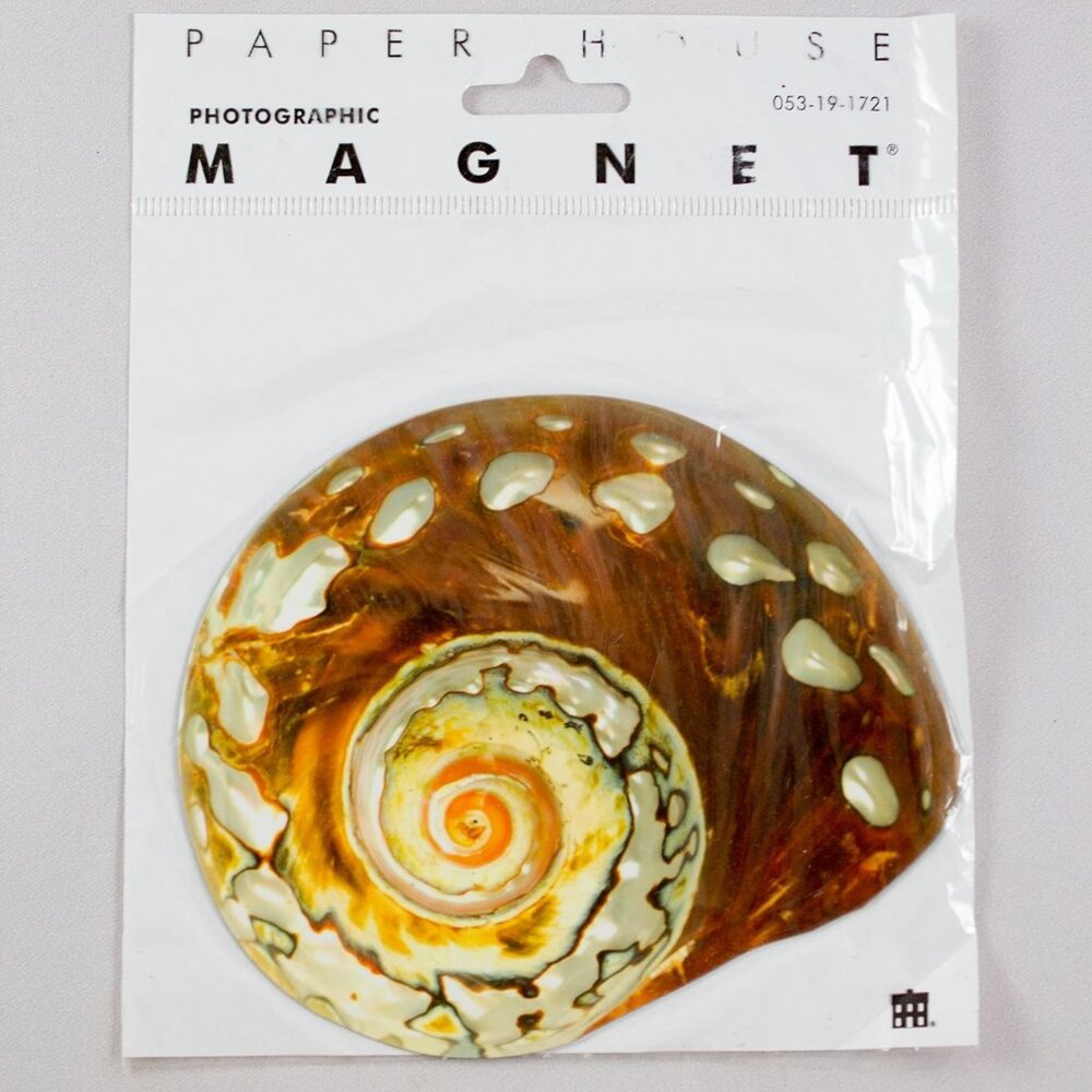 Photographic Seashell Magnet By Paper House Productions 002